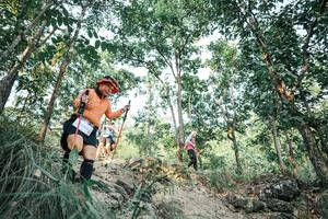 BIB: 
                            <button type="button" onclick="openModal(25978839)" class="btn btn-primary btn-sm float-right btn-popup" data-toggle="modal" data-target=".modal-high-quality">
                        <i class="fas fa-shopping-cart"></i> Add to Cart
                    </button>
                                            <button type="button" onclick="isThisMe(25978839, true)" class="btn btn-success btn-sm float-right btn-popup btn-isme hidden" data-toggle="tooltip" data-placement="bottom" title="นี่คือรูปของคุณใช่ไหม คลิกที่นี่เพื่อเอาเข้าอัลบั้ม">
                        <i class="fas fa-plus"></i> Add to album
                    </button>
                    <button type="button" onclick="isThisMe(25978839, false)" class="btn btn-warning btn-sm float-right btn-popup btn-isnotme hidden">
                        <i class="fas fa-ban"></i> Remove from album
                    </button>